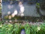 image of grave number 498951